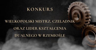 Logo-konkursu-Mistrz, Czeladnik oraz Lider